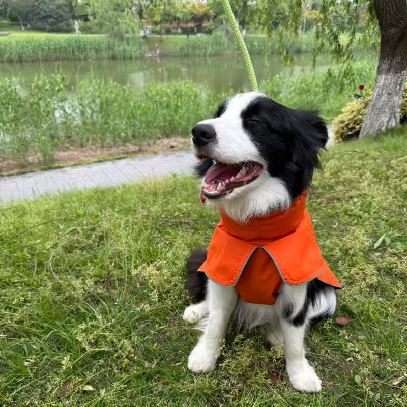 PL2603 Pet Jacket 