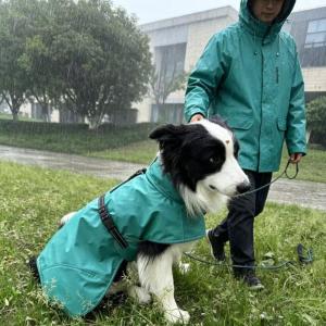 PL2609-01 Pet Raincoat  
