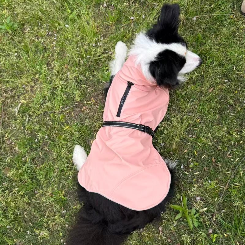 PL2609-02 Pet Raincoat 