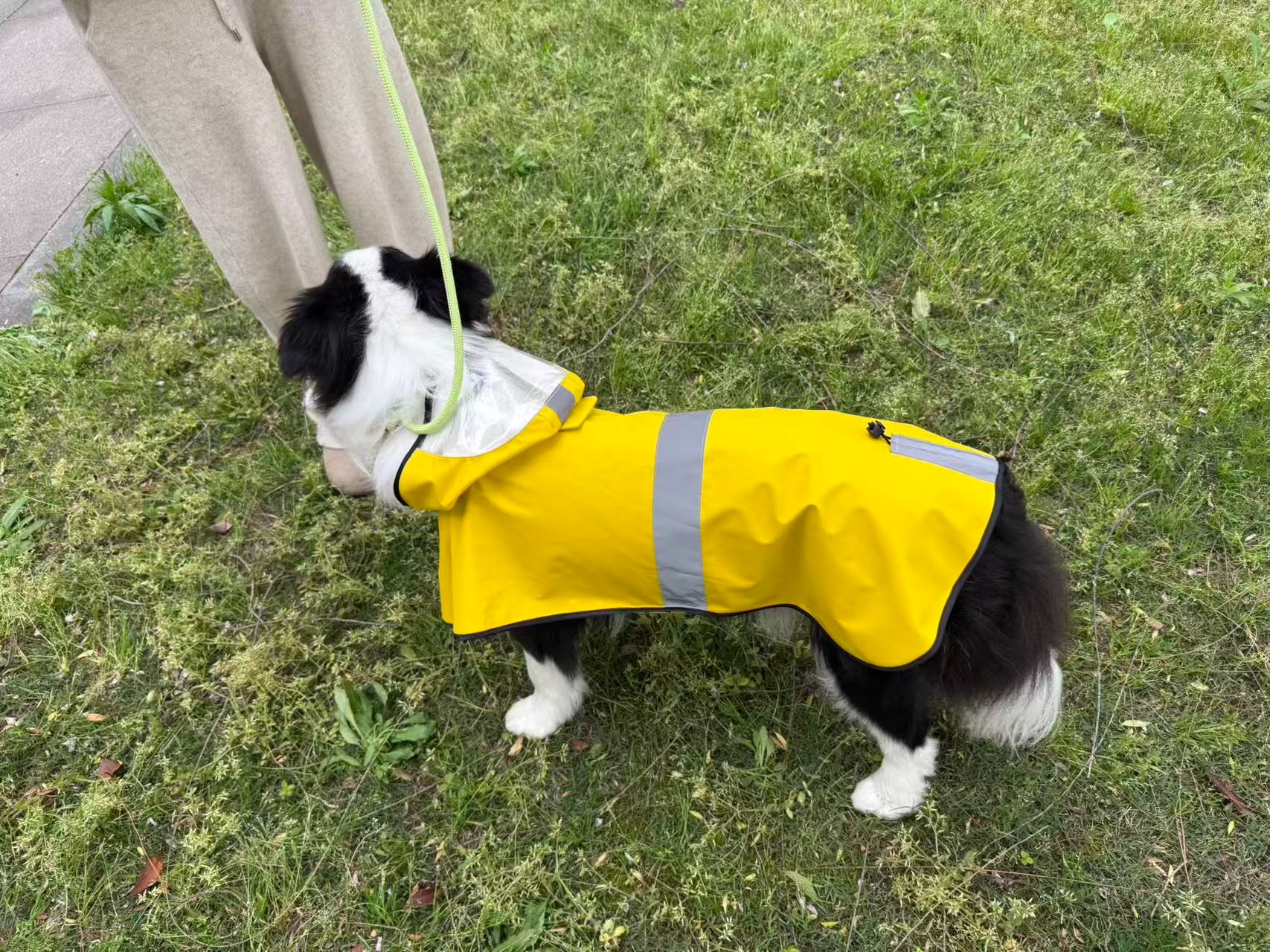 PL2610 Pet Raincoat 