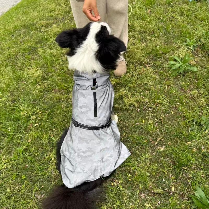 PL2611  Pet Raincoat 