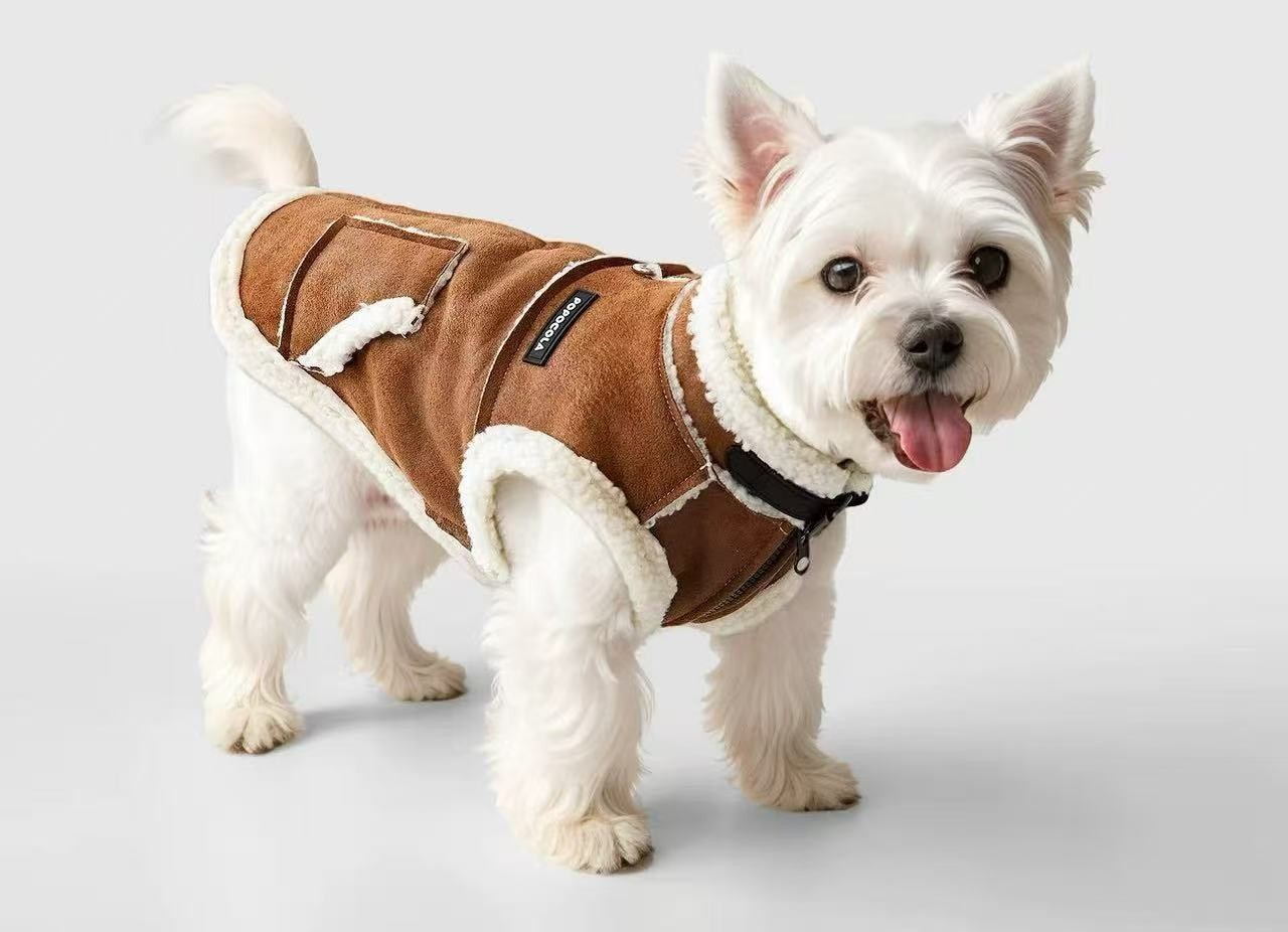 PL2619 Pet Coat