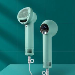 PTCFJS-1 Smart Pet Hair Dryer